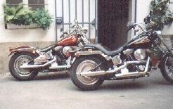 Harleys